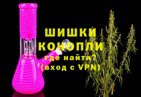 шишки Верея